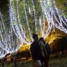 Светодиодная гирлянда на деревья. Белая. Постоянное свечение.
